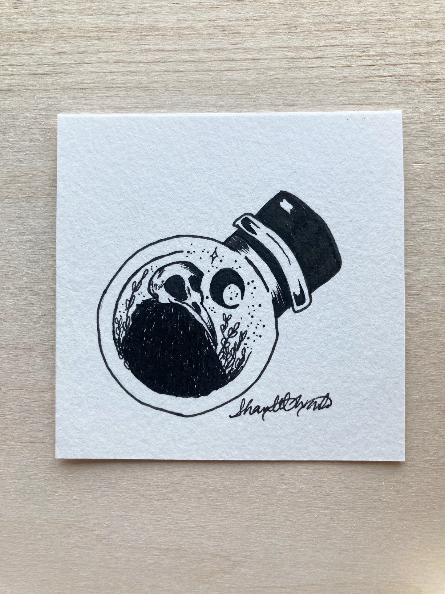 Original ink art Bird Skull in a Bottle