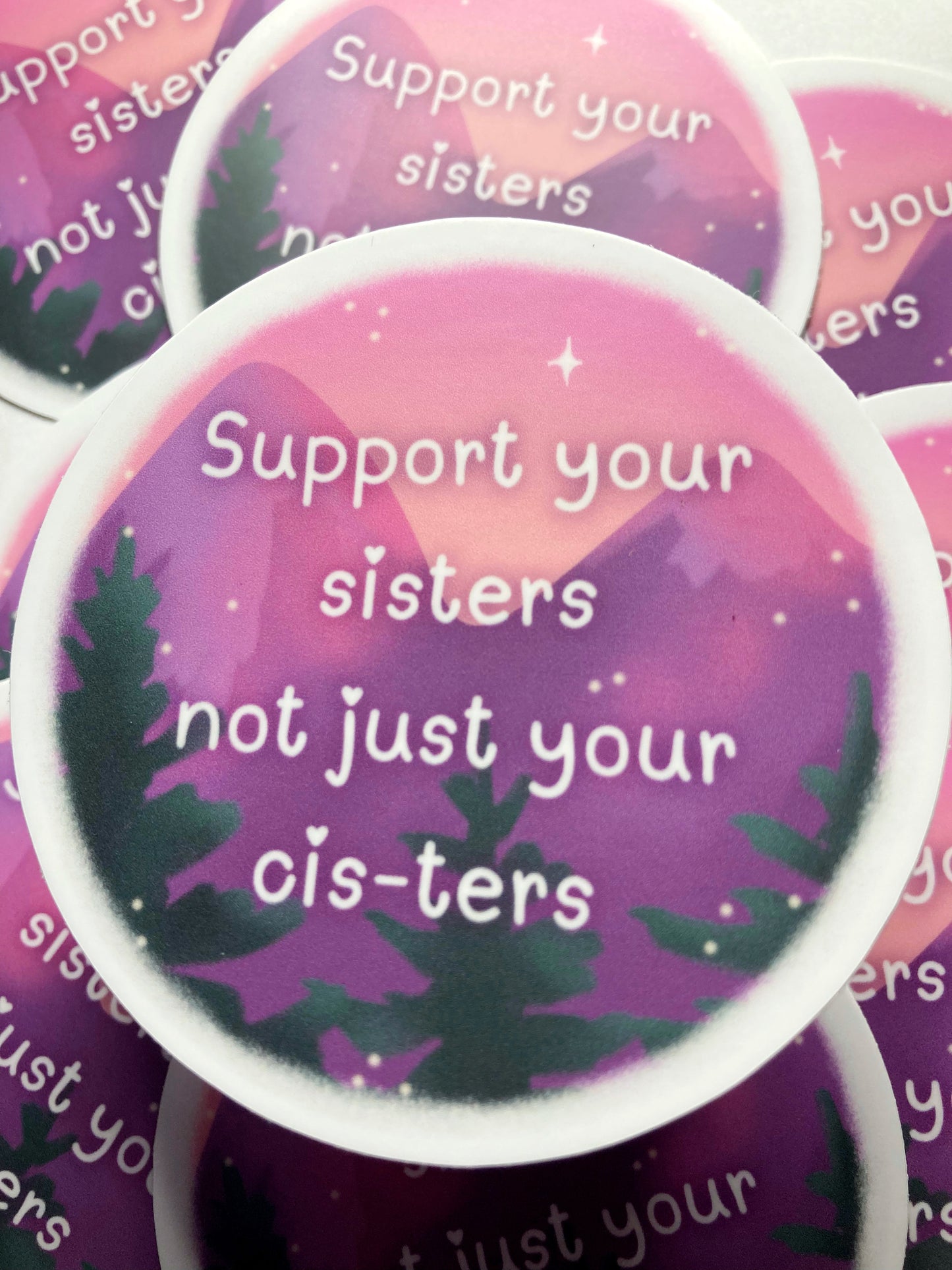 Support Your Sisters Not Just Your Cis-ters Sticker