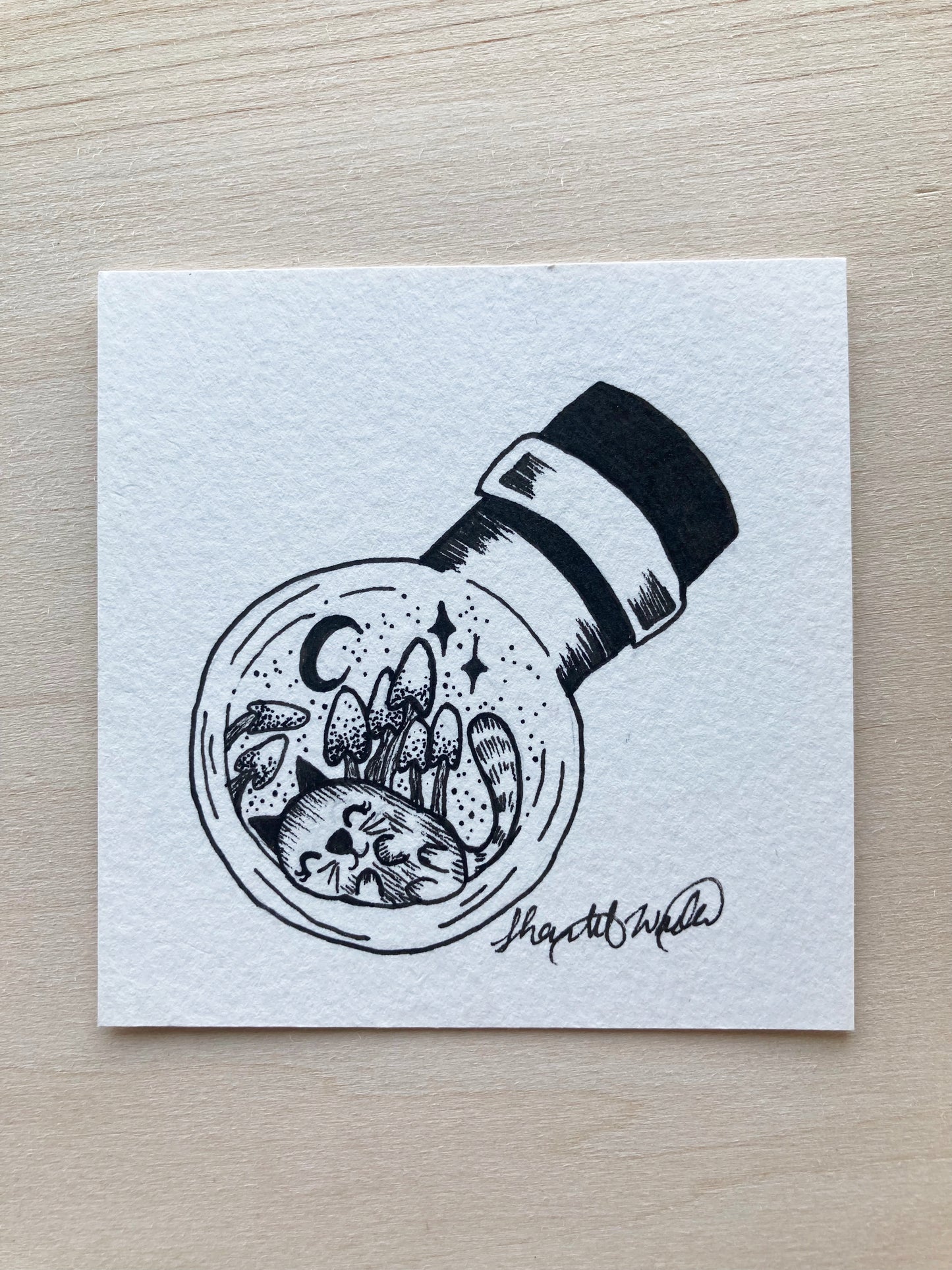 Original ink art The Cutest Cat in a Bottle