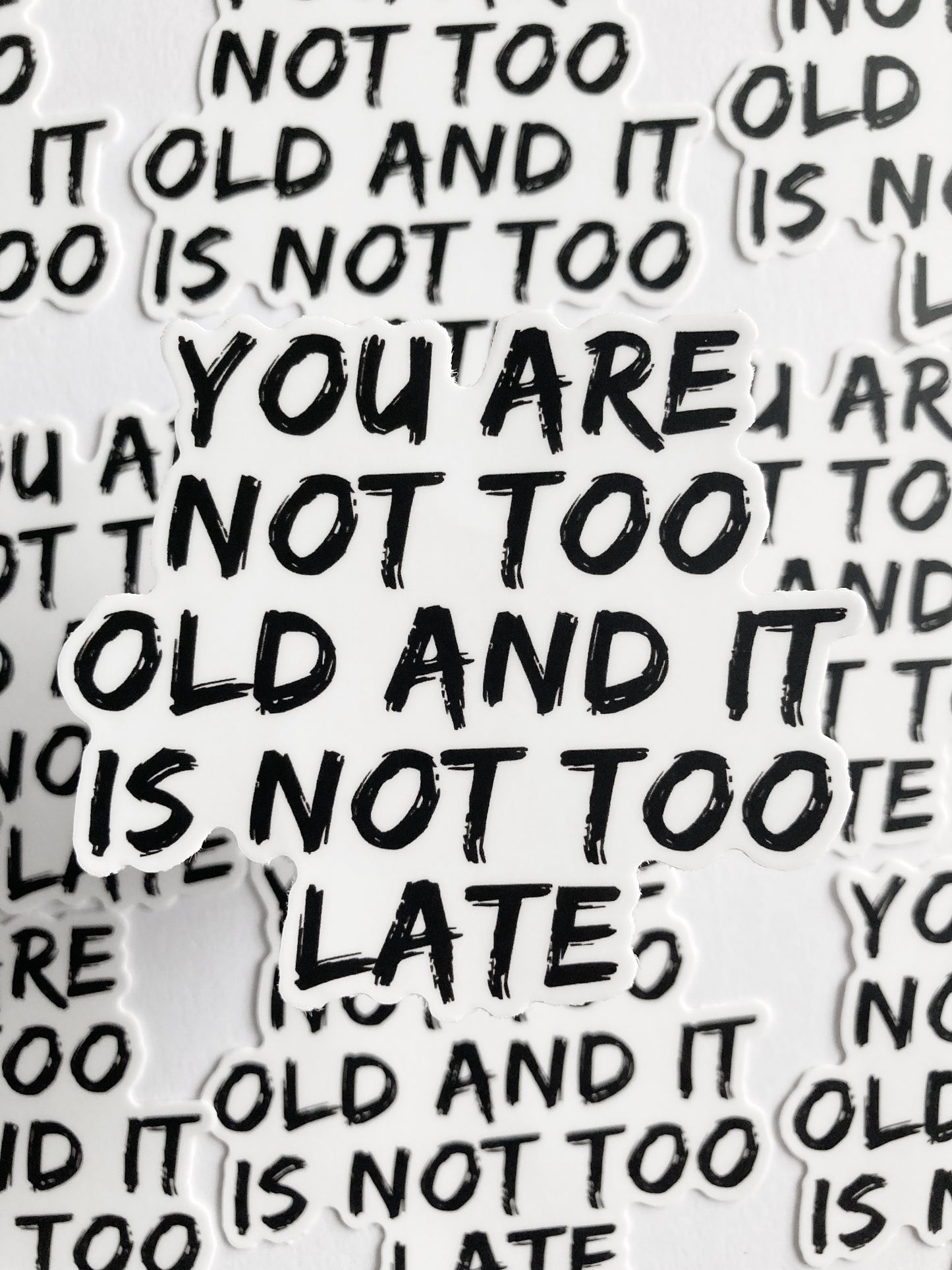 You Are Not Too Old And It Is Not Too Late Sticker