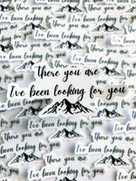 There You Are I’ve Been Looking For You Sticker