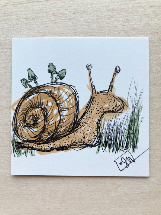 Snail Mini Original