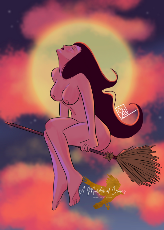 Night Flight NSFW Print