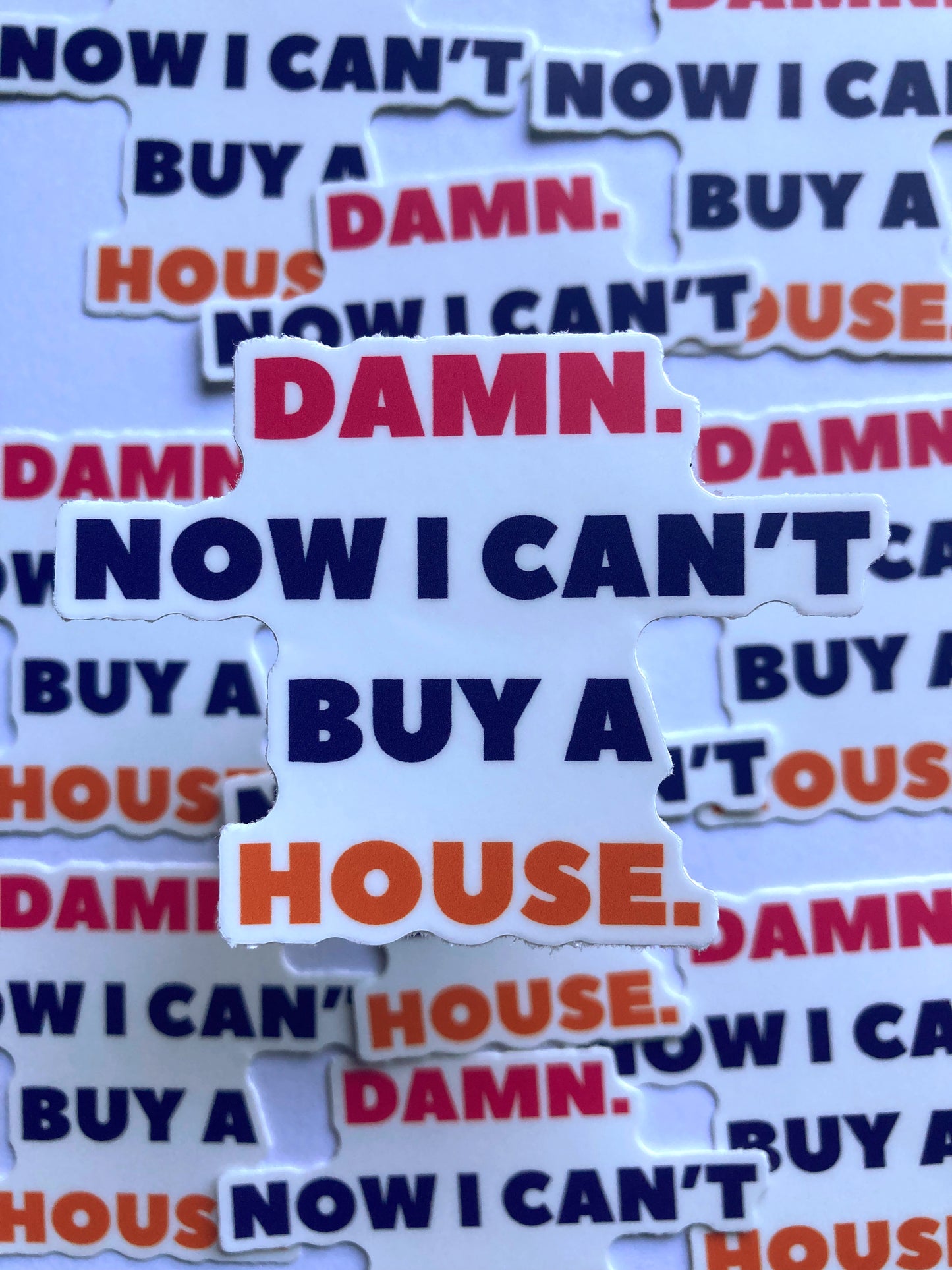 Damn. Now I Can’t Buy A House. Sticker
