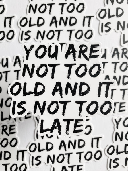 You Are Not Too Old And It Is Not Too Late Sticker